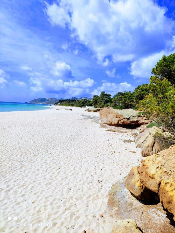 Oleandri Calaverde Sardegna Iun P1641 Pula Εξωτερικό φωτογραφία